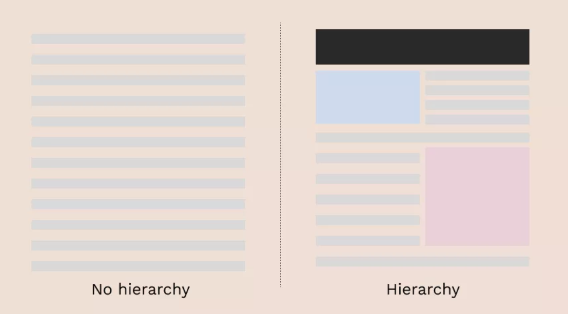 no hierarchy and hierarchy