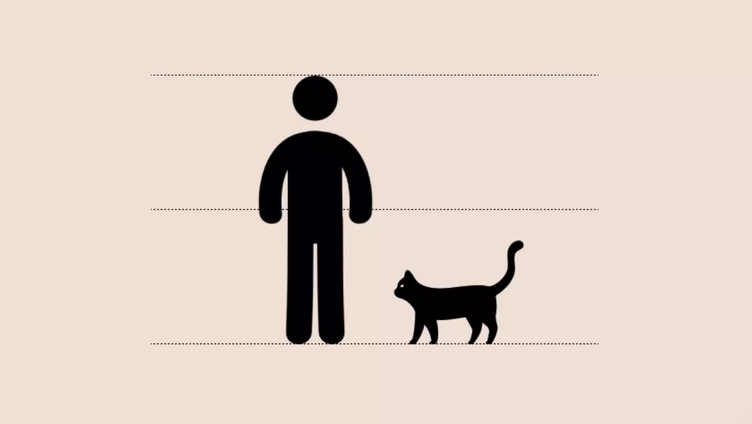 visual on proportions